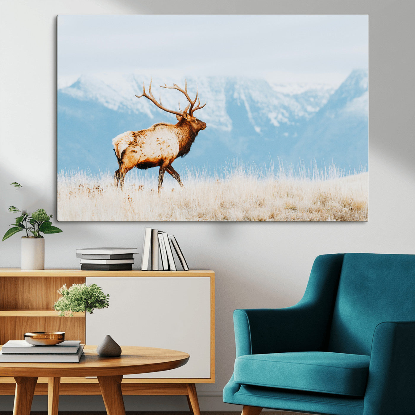 Majestic elk standing on dry grassland with snowy mountains in the background, ideal for rustic or lodge-inspired wall decor.