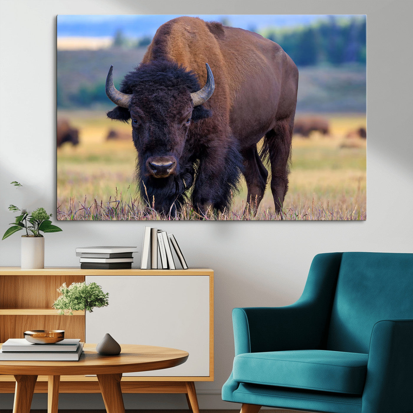 Close-up of a strong American bison standing in a grassy prairie with a blurred herd in background, perfect for rustic lodge decor.