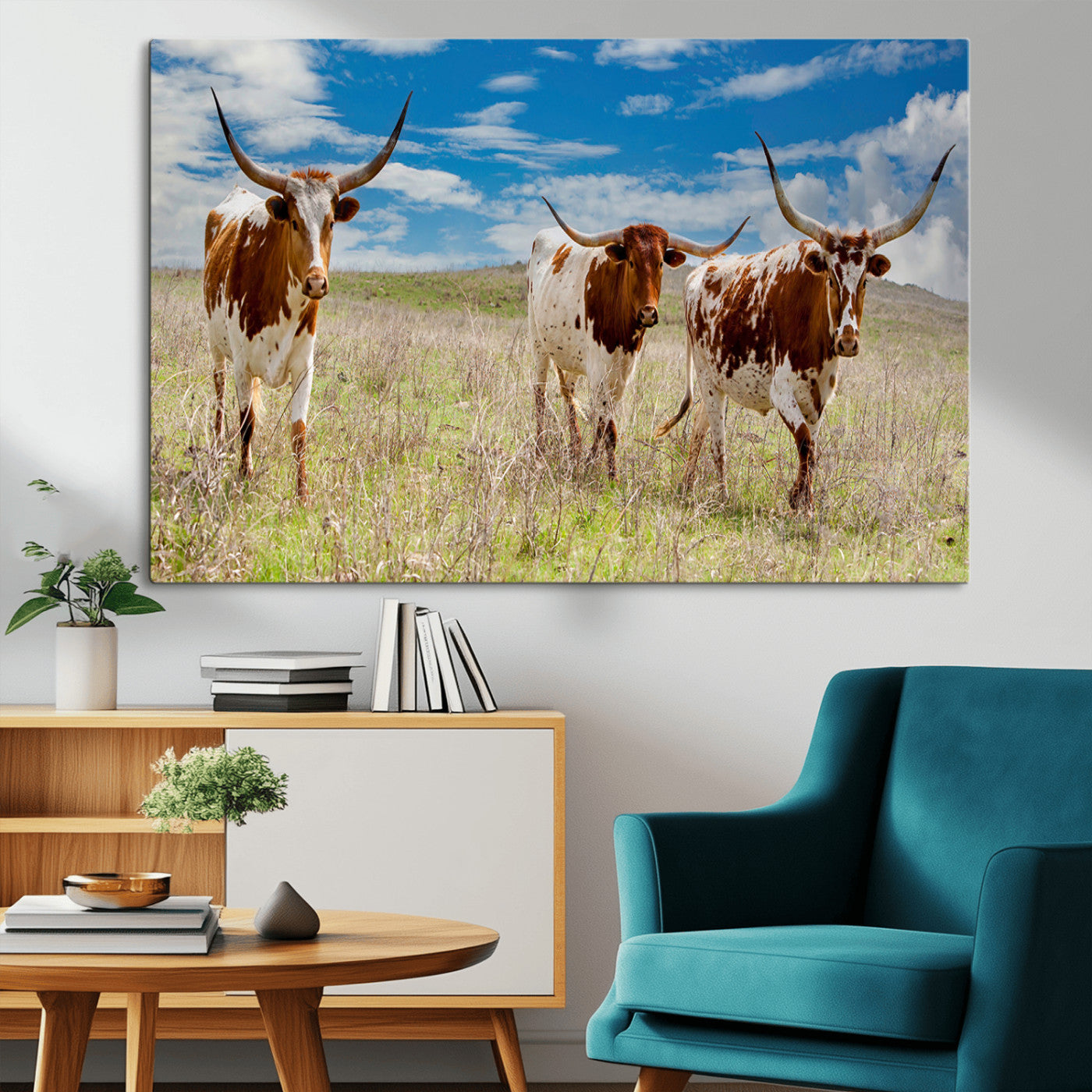 Three Texas longhorn cattle standing in dry grass under a bright blue sky, ideal for farmhouse or western rustic home decor.