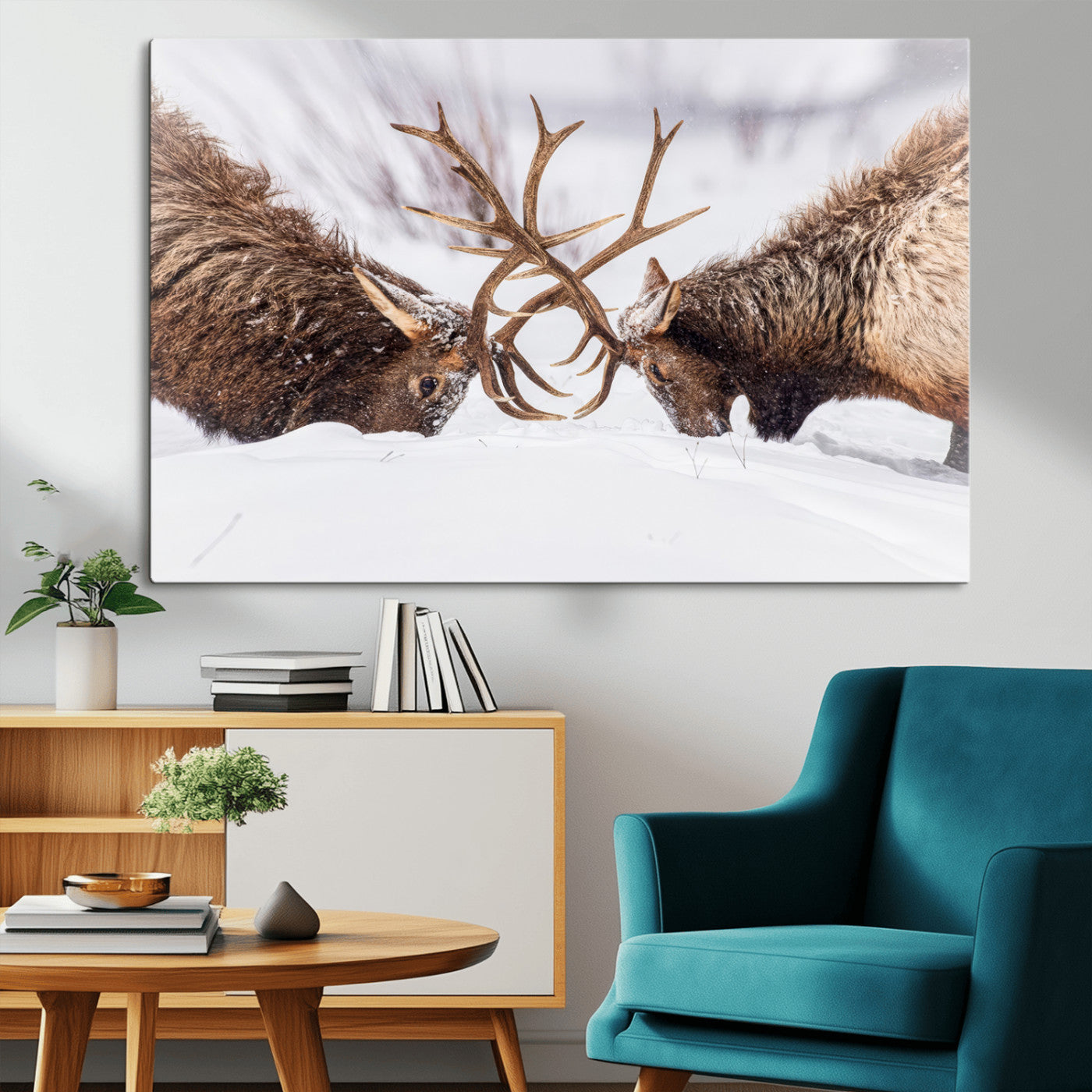Two elk clashing antlers in a snowy forest, capturing raw power and wild energy, ideal for rustic cabin or lodge-style decor.