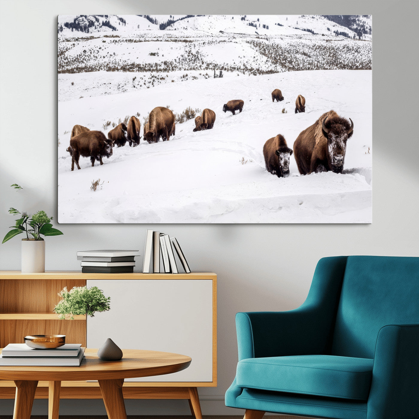 A herd of bison walking through deep snow in a mountain valley, perfect for rustic, cabin or western-themed wall decor.