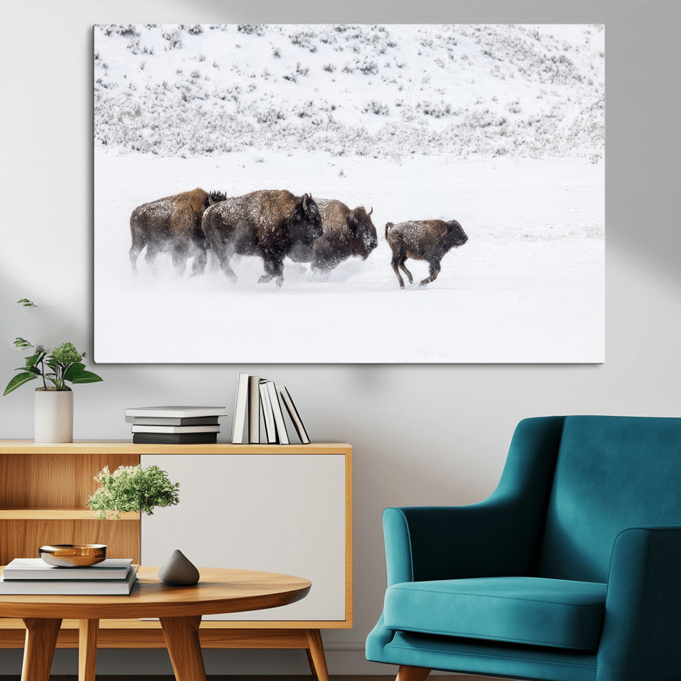 Bison herd running through a snowy open field with mountain backdrop, perfect for rustic or western-themed wall decoration.