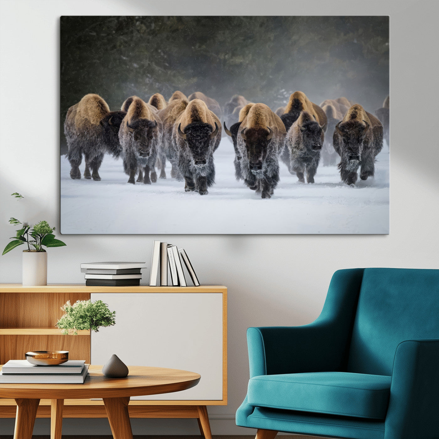 A herd of American bisons walking through deep snow in a forest, evoking a powerful rustic wilderness mood for western-style interiors.