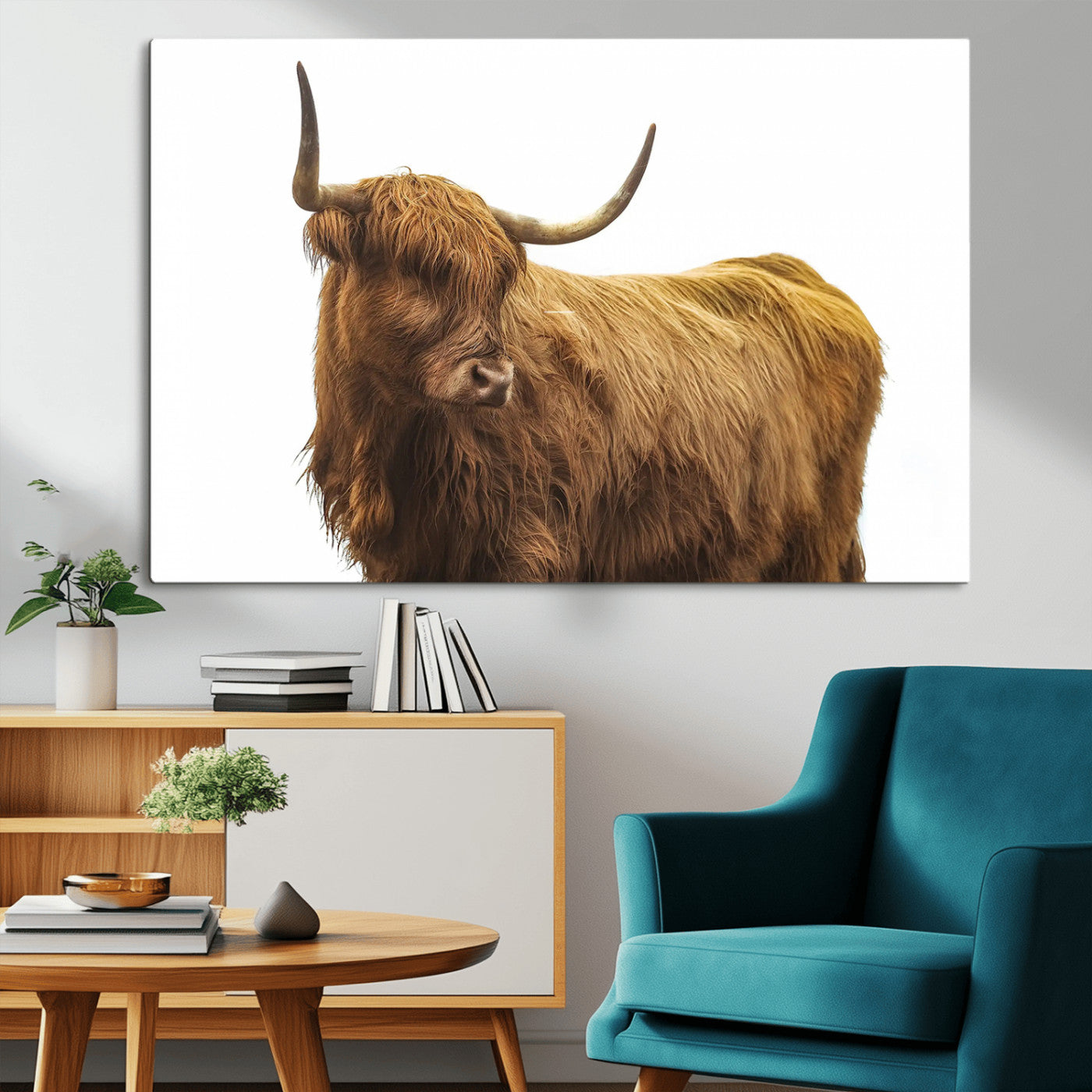 A highland cow with long horns and shaggy fur standing calmly, isolated on white background, ideal for rustic or farmhouse wall decor.