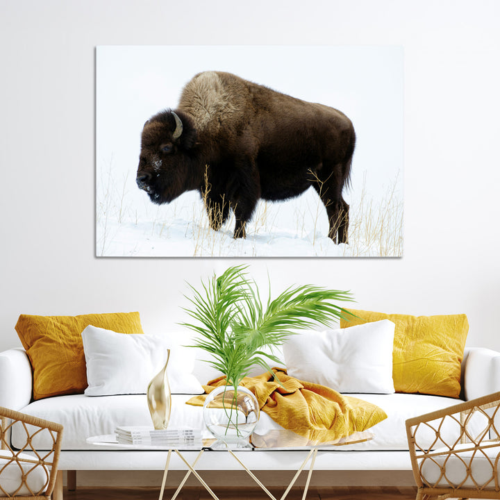 Bison Photography Wall Art Canvas Print, Framed Western Wildlife Art Picture Print, Buffalo On Snow Perfect Western Decor Artwork