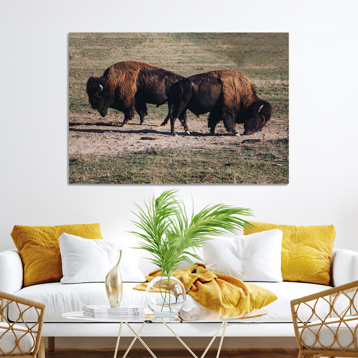 Bison Photography Wall Art Canvas Print, Framed Western Wildlife Art Picture Print, Modern Ranch Perfect Western Rustic Decor Artwork