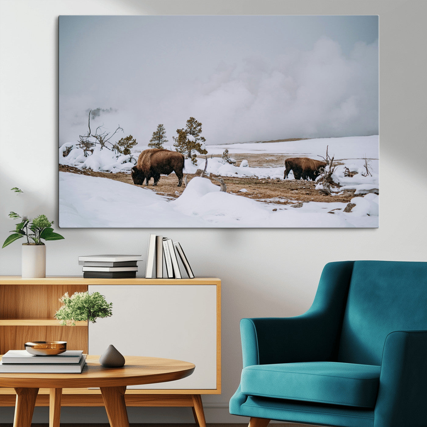 Two bison grazing in a snowy open landscape with misty hills in the background, creating a peaceful and rustic winter scene.