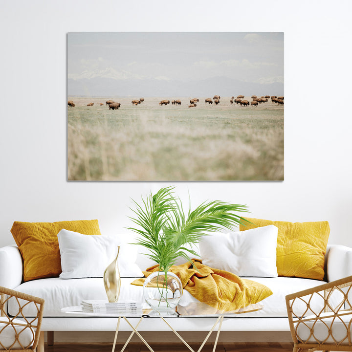 Bison Herd Wall Art Canvas Print, Framed Western Art Picture Print, Bison Perfect Ranch Decor Artwork