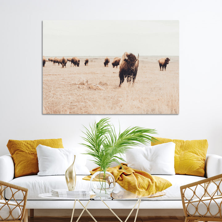 Bison Herd Wall Art Canvas Print, Framed Western Art Picture Print, Prairie Serenity Perfect Ranch Decor Artwork