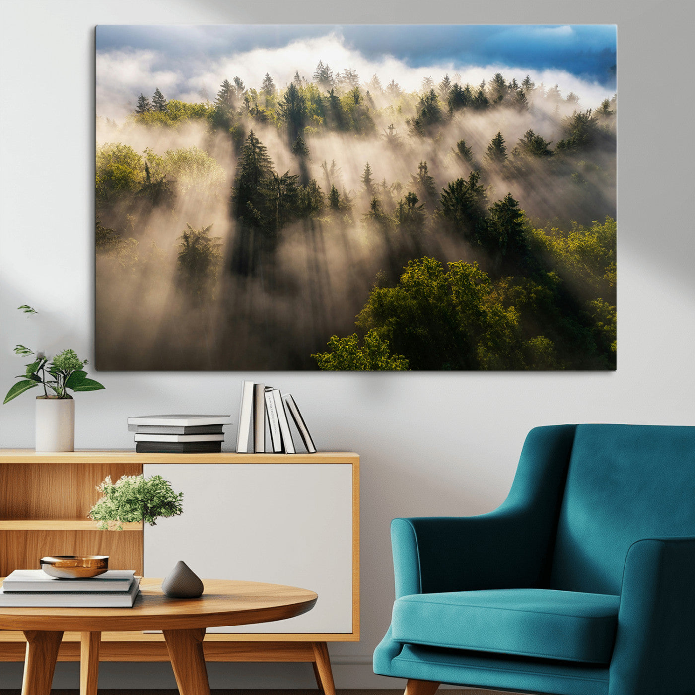 Sunlight streaming through misty pine trees in a lush green forest, creating a serene and atmospheric landscape, perfect for nature-inspired decor.