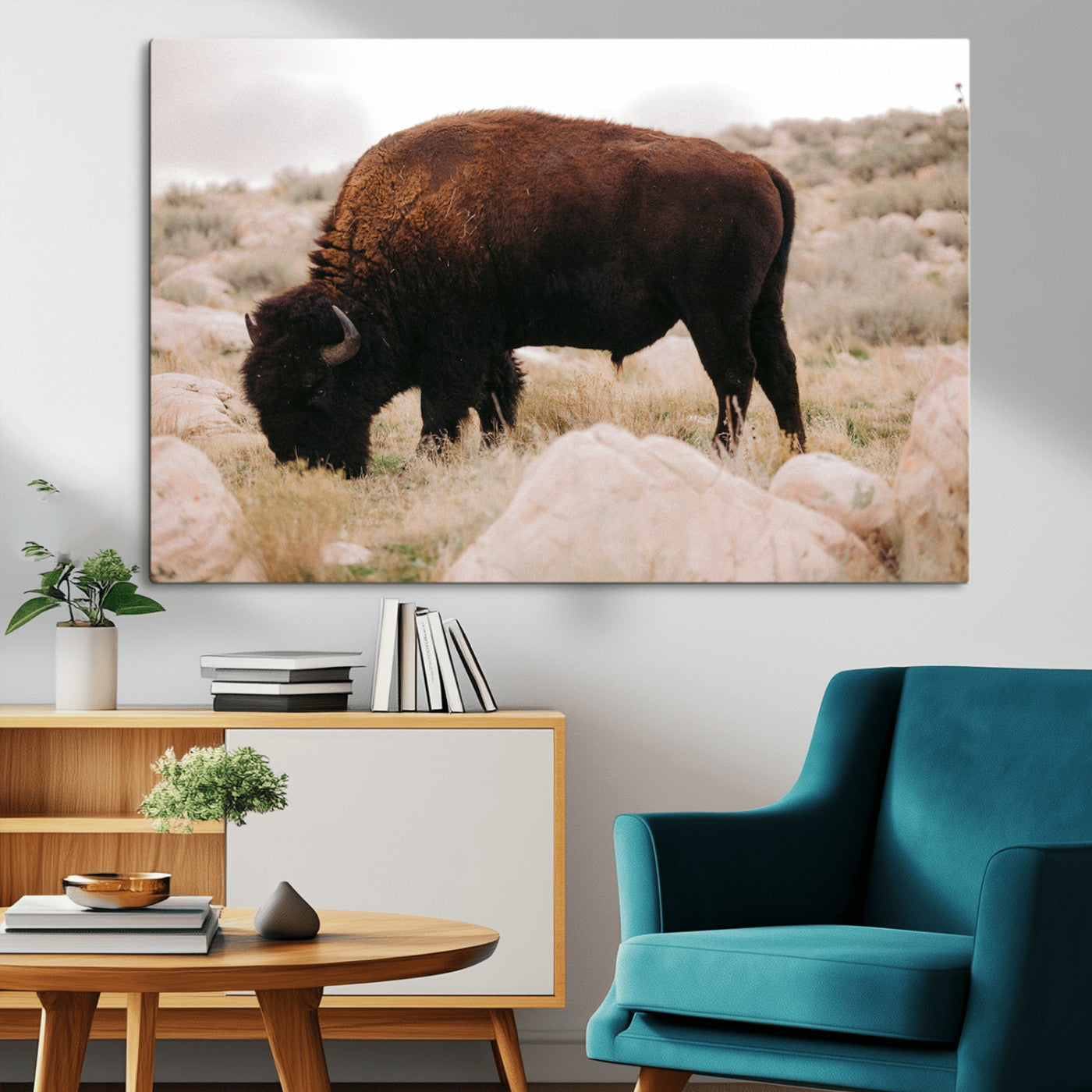 A solitary bison grazing in a rugged prairie with earthy tones and scattered rocks, capturing the essence of the American West for rustic decor.