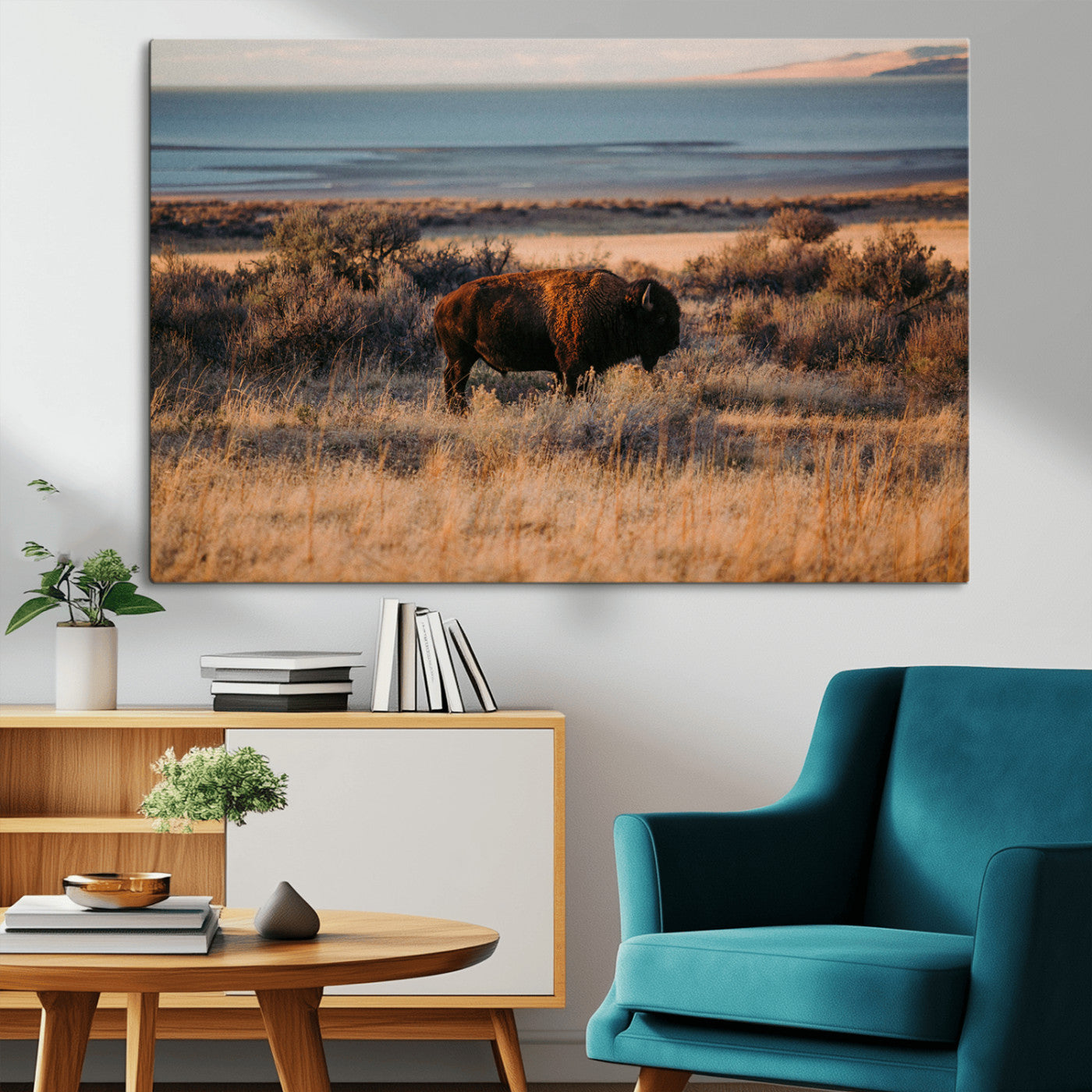 A lone bison grazing in golden prairie grass at sunset, with warm earthy tones and a distant lake view, perfect for rustic and western decor.