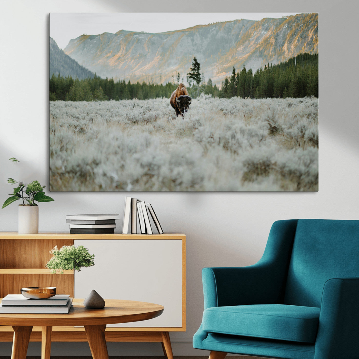 Lone bison standing in a frosted sagebrush field with a pine forest and rugged mountain range in the background under soft morning light – Wall Art Canvas Print.