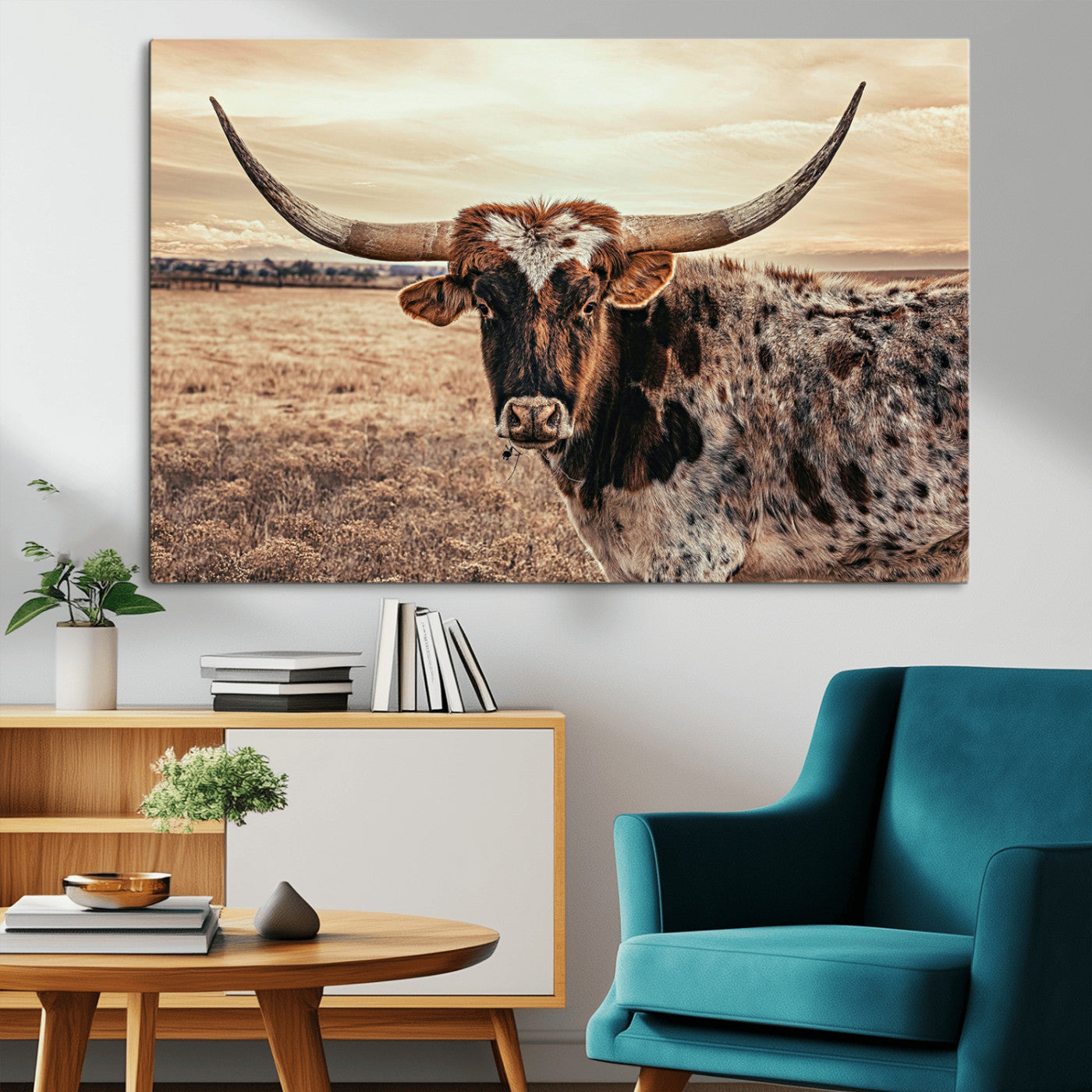 Close-up of a longhorn cow with distinctive curved horns standing in a dry grass field under a cloudy sky.