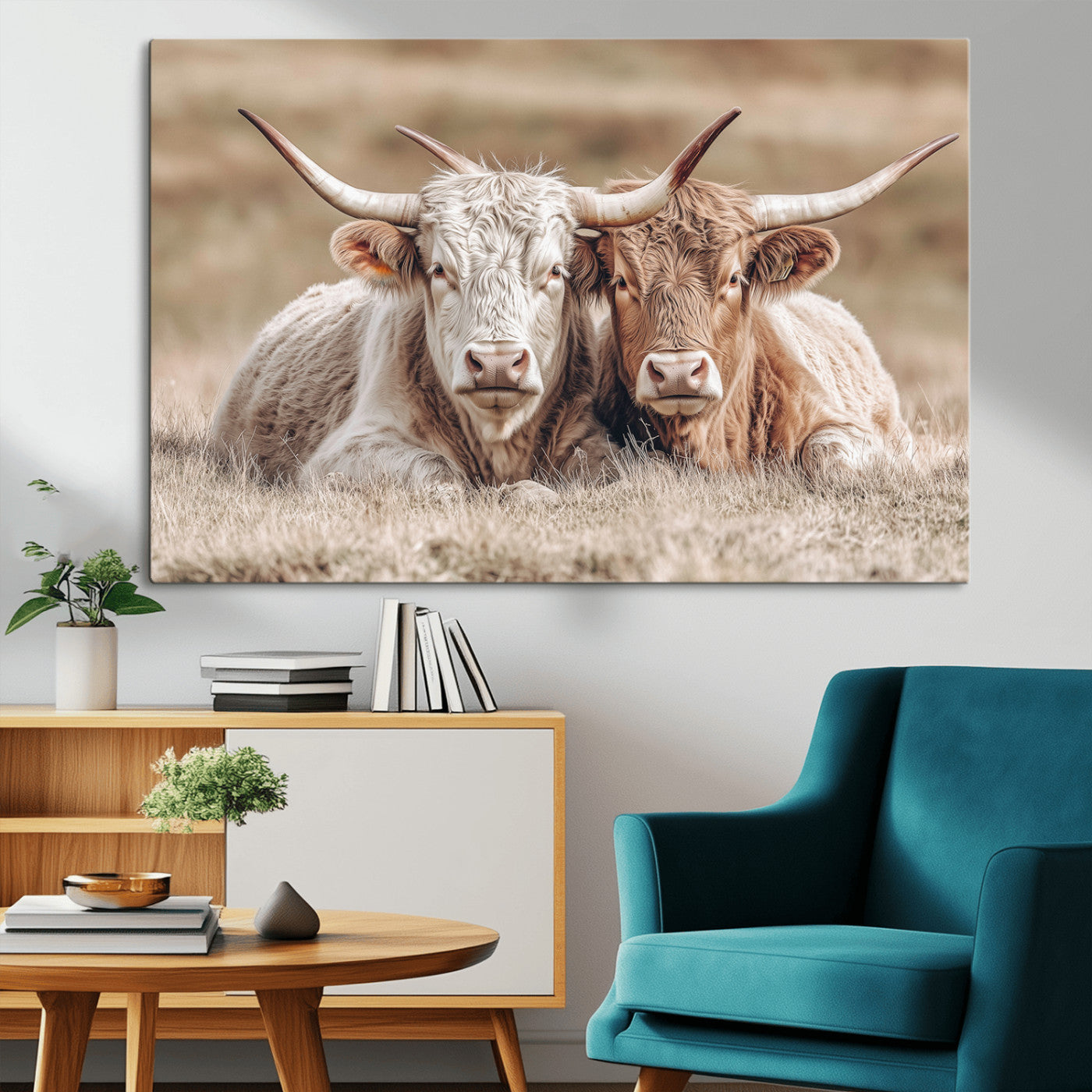 Two Highland cows with long horns lying side by side on a grassy field, featuring soft natural tones and a calm rural setting.