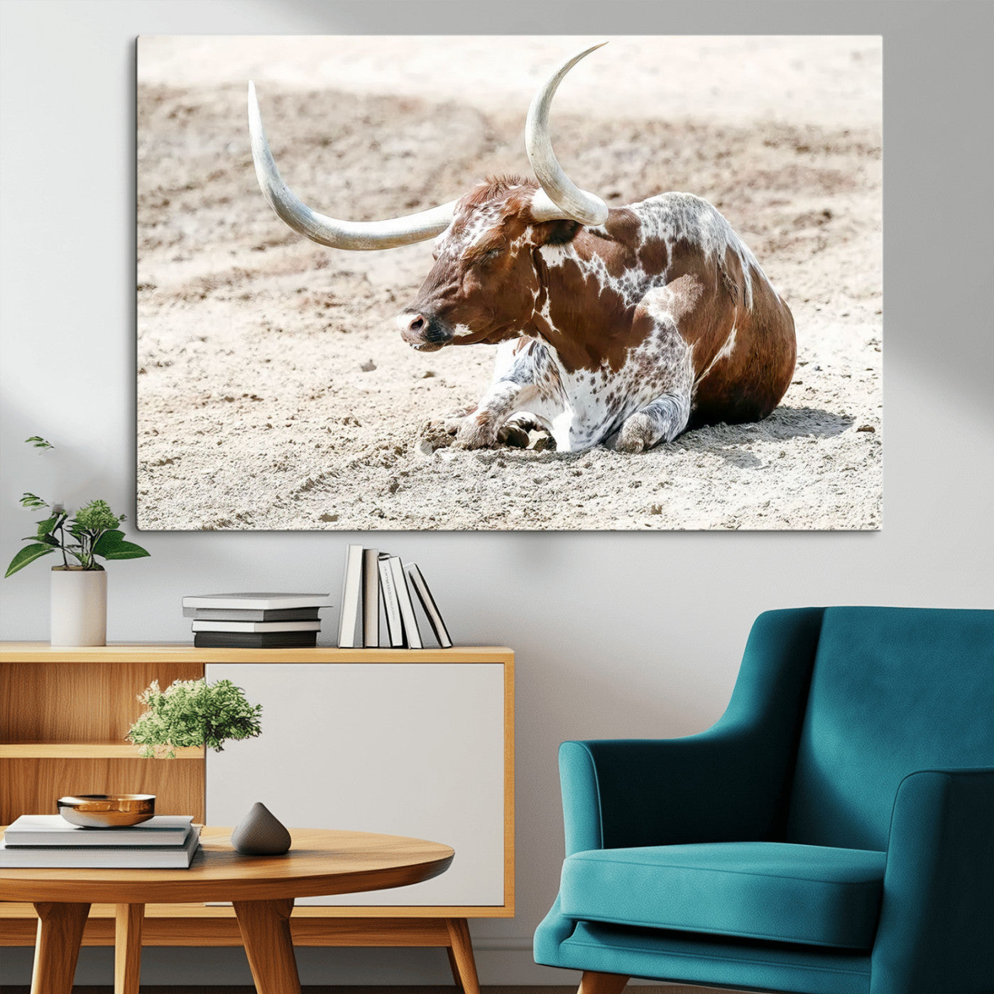 MGV-CV-36X24 - Majestic Longhorn Resting on Sunlit Desert Ground – Striking Western-Themed Wall Art Canvas Print