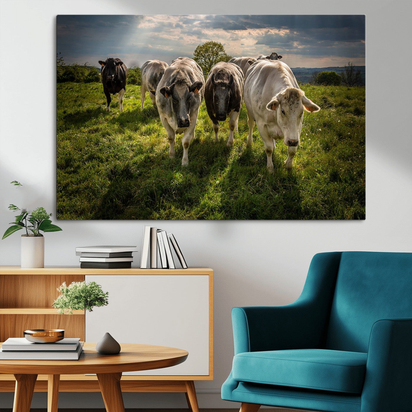 67277447-MGV-CV-36X24-Grazing Cattle Herd Pasture Green Field Livestock Natural Farm Animals Rural Life Outdoor Wall Art Canvas Print