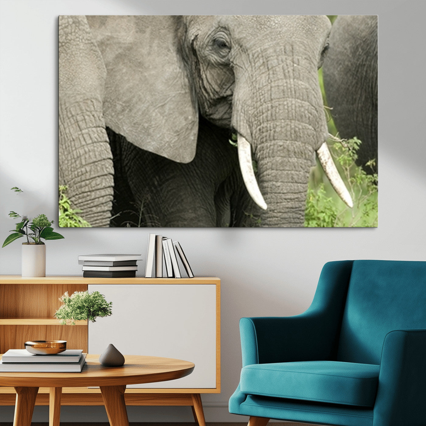 MGV-CV-36X24 - Wild Elephant Wall Art Canvas Print
