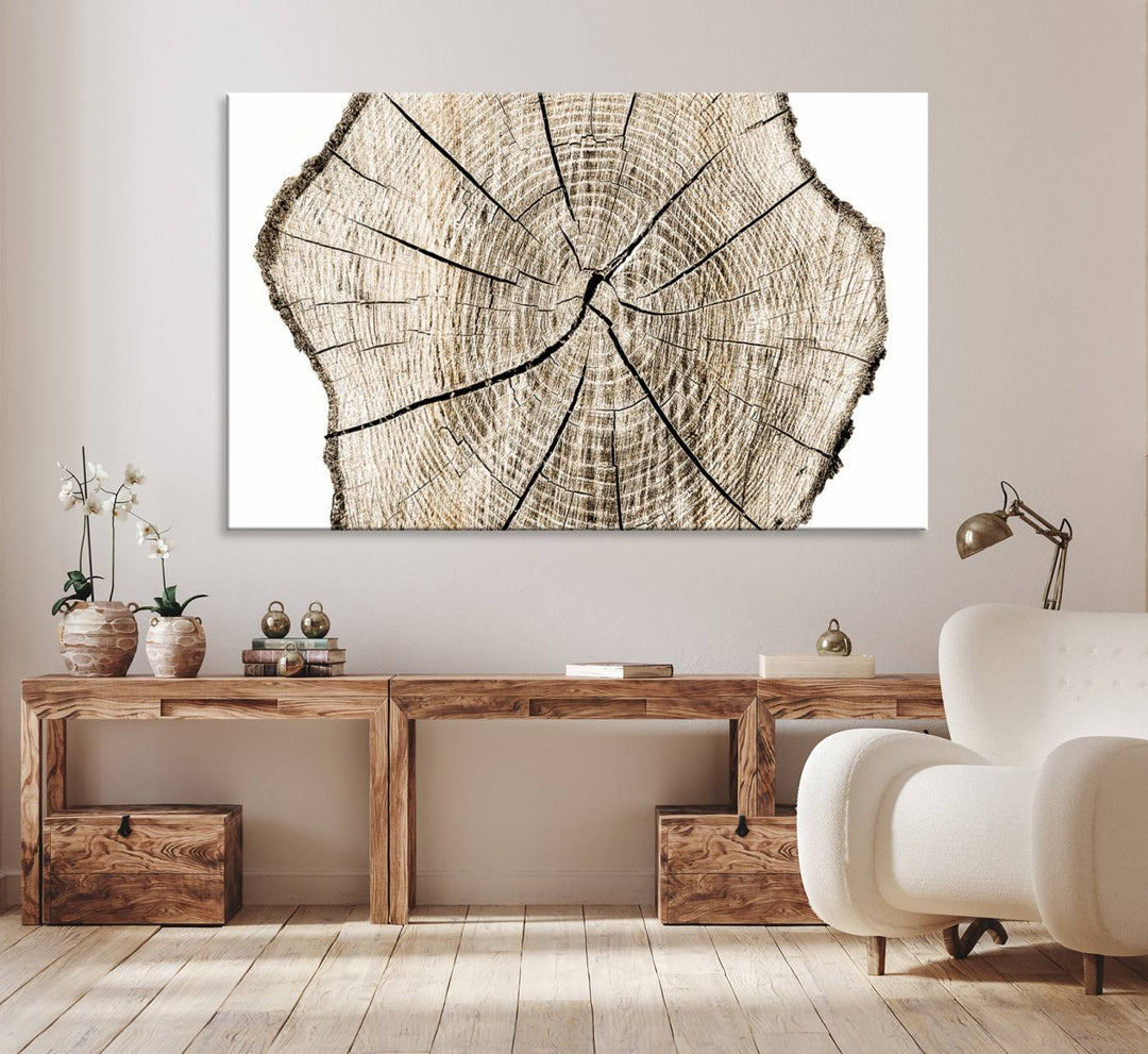 The Abstract Wood Tree Ring Wall Art set of 3 adds a minimalist touch to the space.