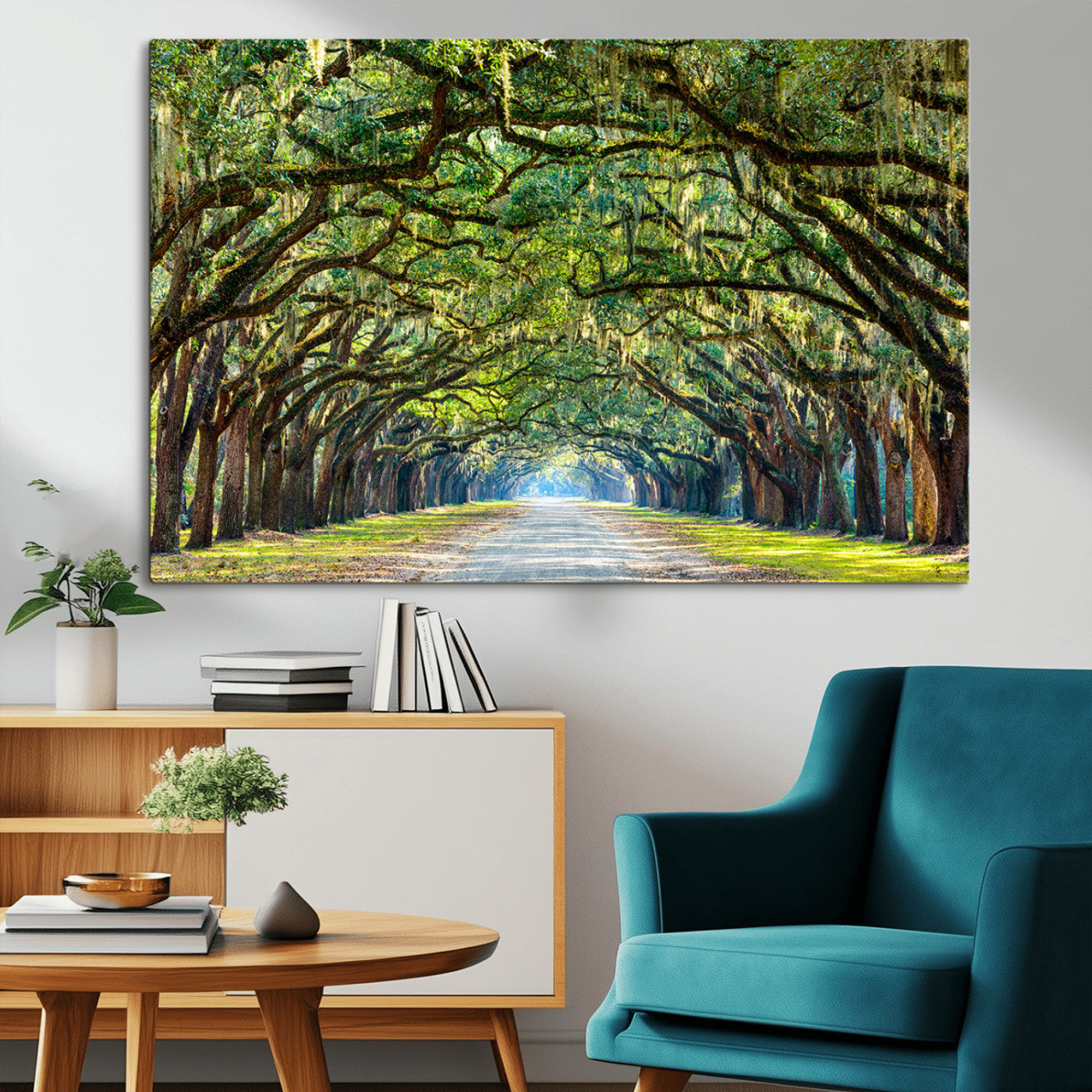 MGV-CV-36X24 - Wormsloe State Plantation Driveway Wall Art Canvas Print