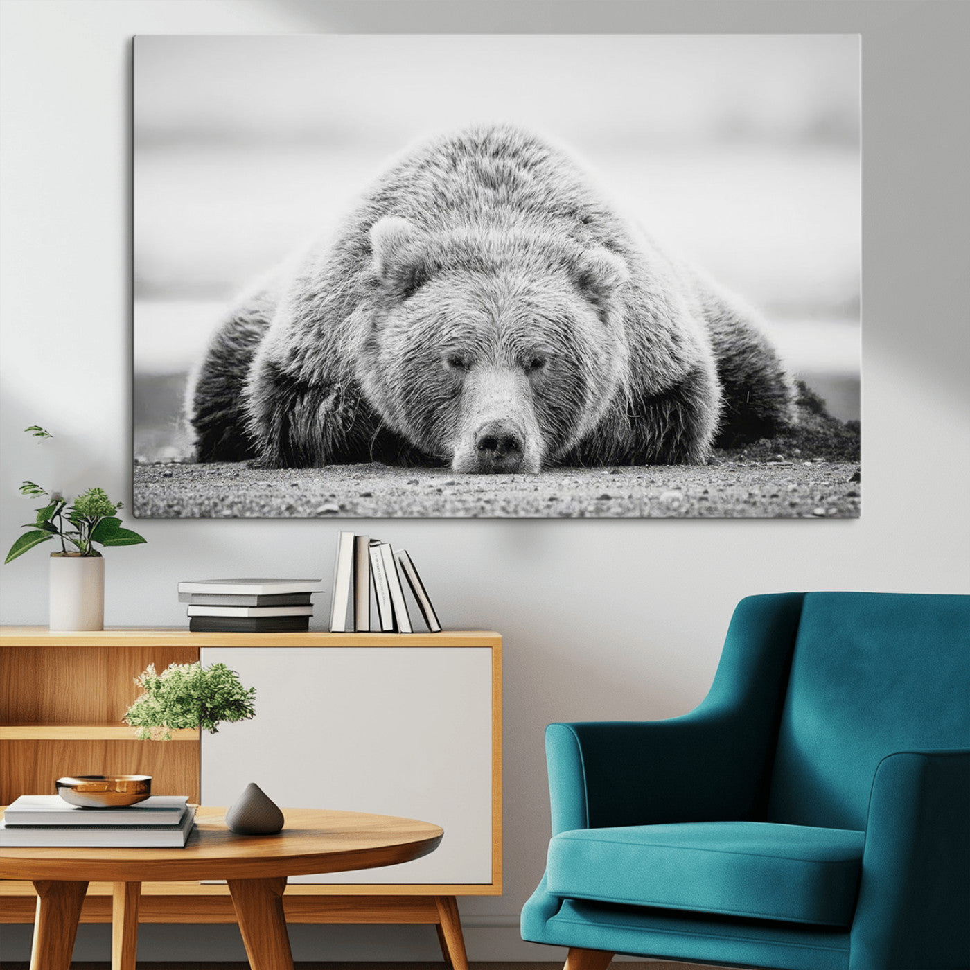 MGV-CV-36X24 - Resting Grizzly Bear Wall Art Canvas Print – Majestic Lazy Black and White Wildlife Bear Art,