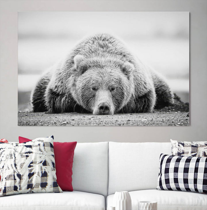 Resting Grizzly Bear wall art displayed in a modern room.