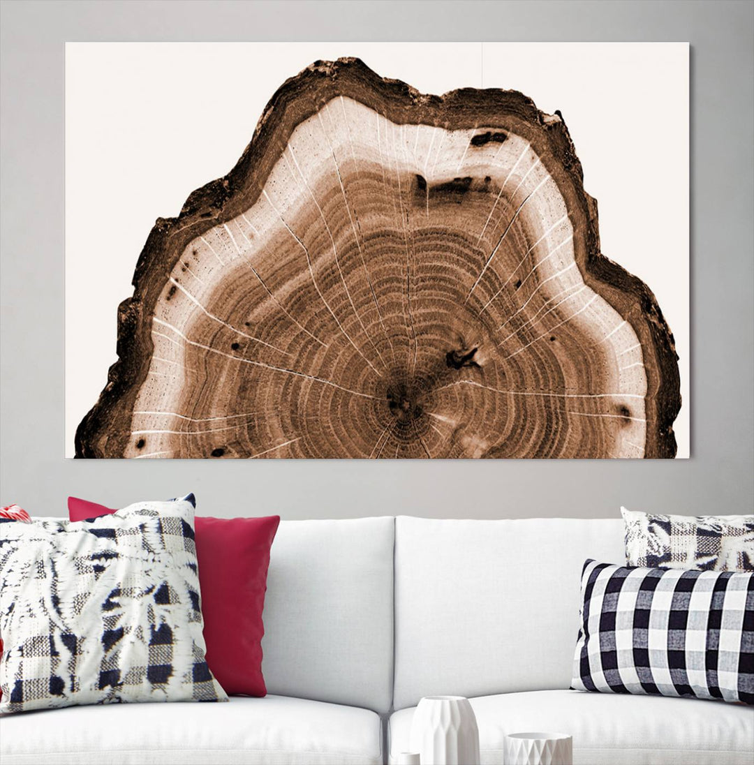 Rustic Wood Rings Wall Art | Nature-Inspired Tree Ring Canvas Print | Ready to Hang and Framed for Farmhouse Wall Decor