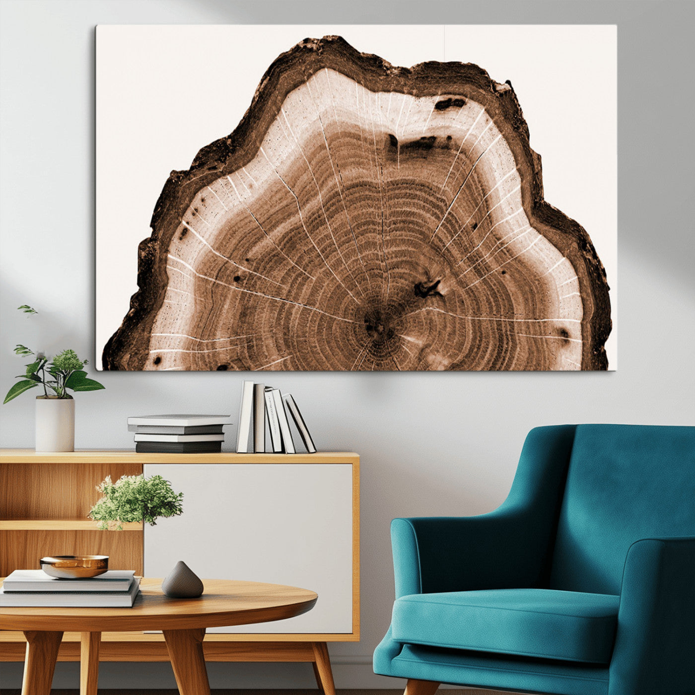 45195-MGV-CV-36X24-Rustic Wood Rings Wall Art | Nature-Inspired Tree Ring Canvas Print | Ready to Hang and Framed for