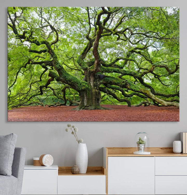 Framed Angel Oak Tree Wall Art - 3-Panel Canvas Prints, Large Green Nature Artwork, Ready to Hang Home Decor for Living Room, Office, Bedroom