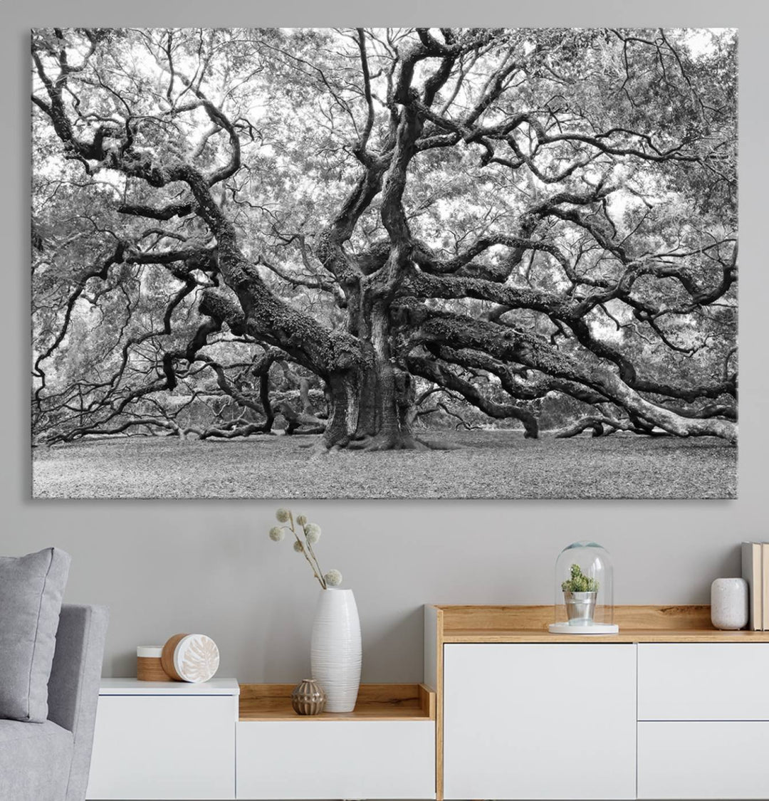 Black White Angel Oak Tree Wall Art - Timeless Nature-Inspired Canvas for Rustic, Modern, or Traditional Home Decor