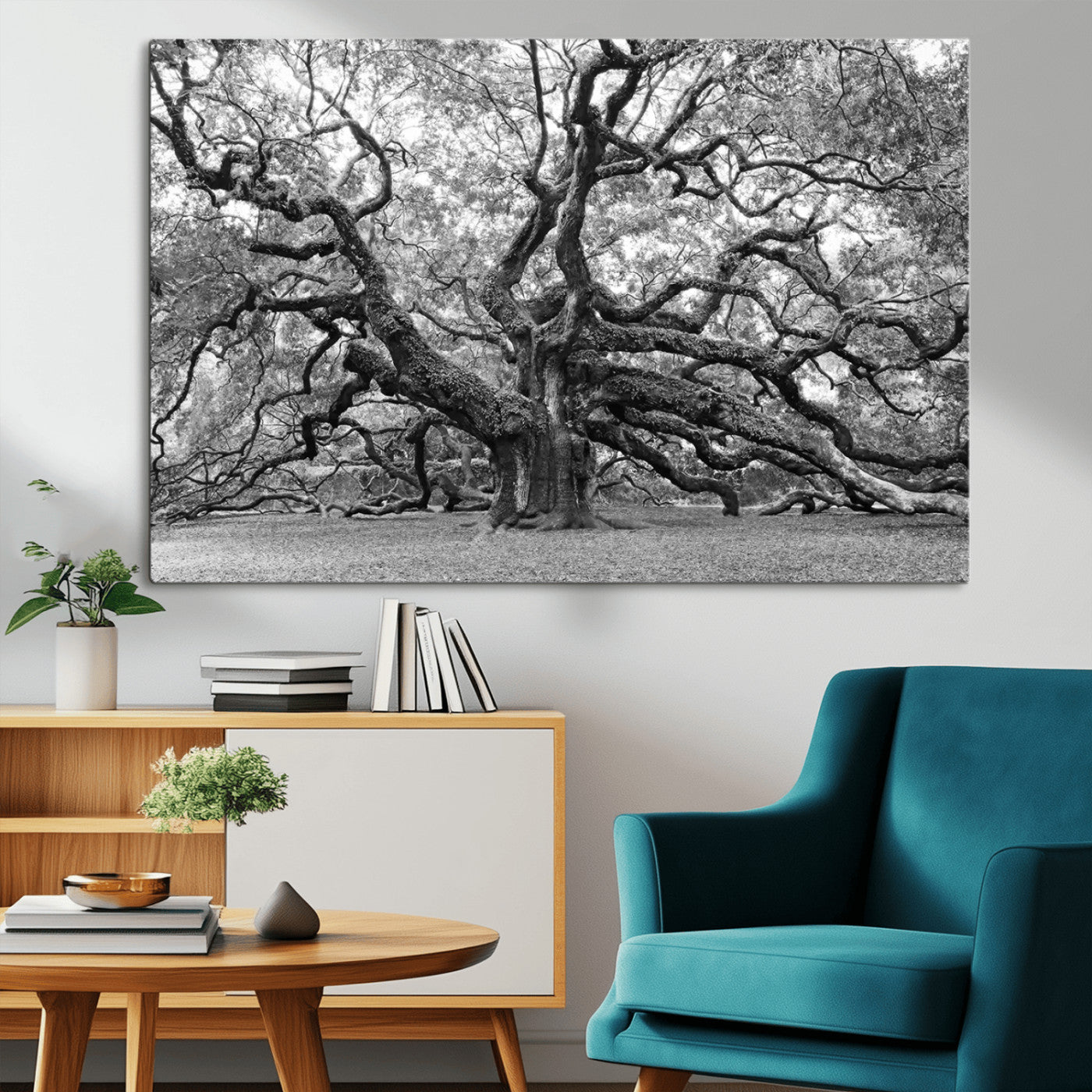 MGV-CV-36X24 - Black White Angel Oak Tree Wall Art - Timeless Nature-Inspired Canvas for Rustic, Modern, or