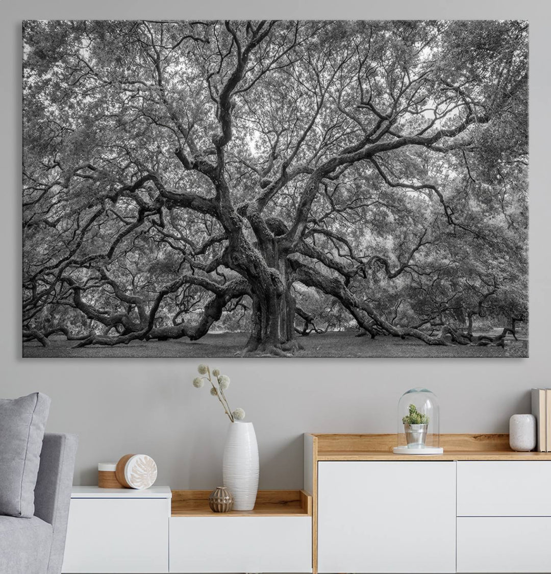 Majestic Angel Oak Tree Black and White Canvas Print – Multi Panel Wall Art, Giclée Print, Ready to Hang Nature Photography for Home Decor