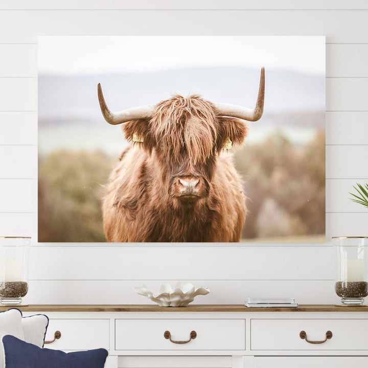 Canvas wall art featuring a Highland cow with long, shaggy fur in natural pastel tones, ready to hang.