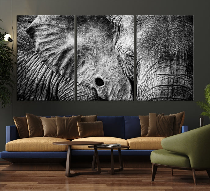 Wild Old Elephant Wall Art Canvas Print