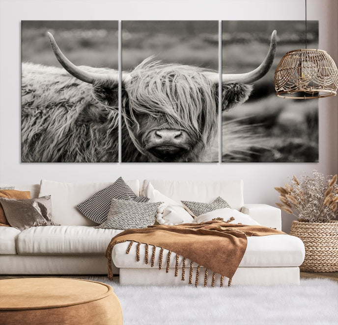 Cow Focus Art Wall Art Canvas Print