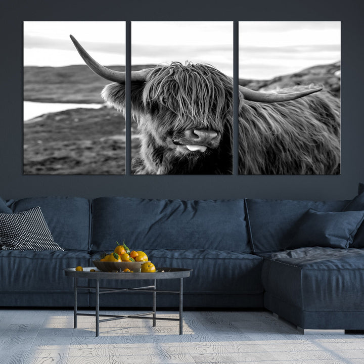 Scottish Highland Cow Cattle Art Print Farmhouse Wall Art Canvas Print