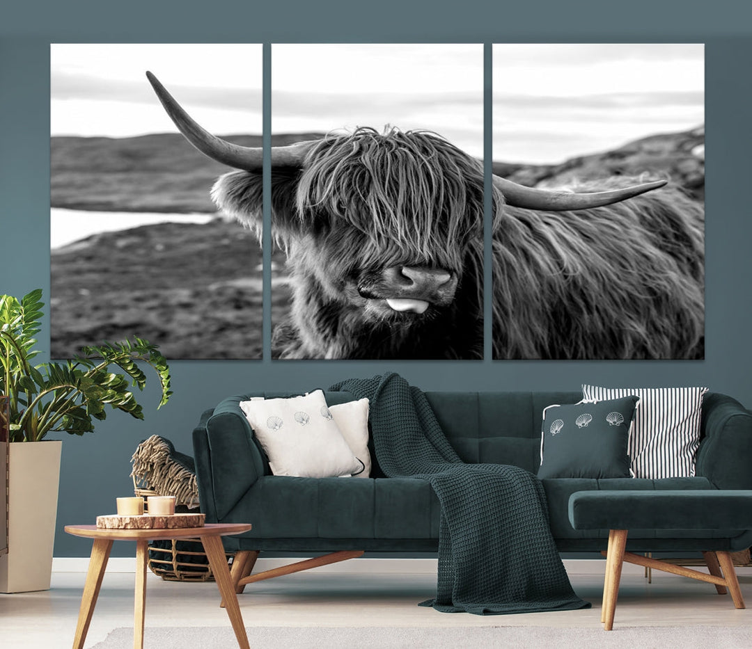 Scottish Highland Cow Cattle Art Print Farmhouse Wall Art Canvas Print