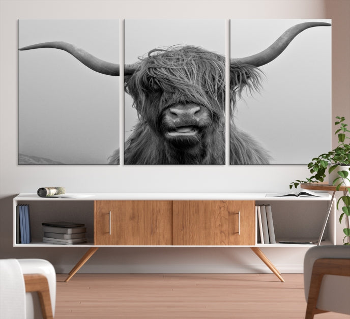 Texas Cow Wall Art Canvas Print