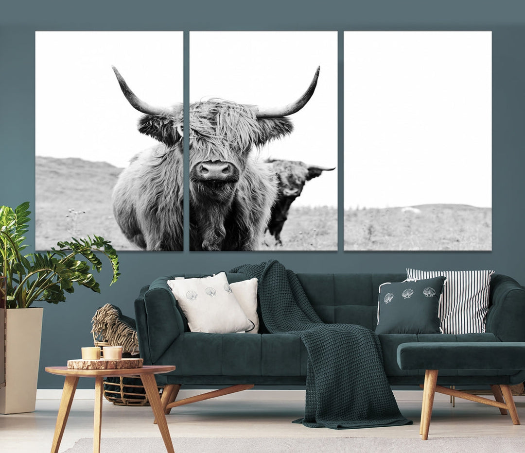 Beautiful Highland Cow Canvas Wall Art