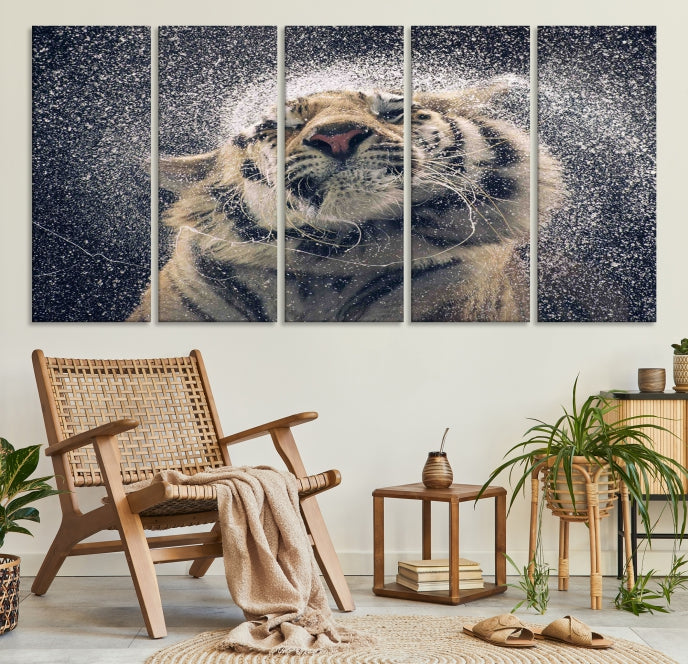 Tiger and Rain Canvas Print