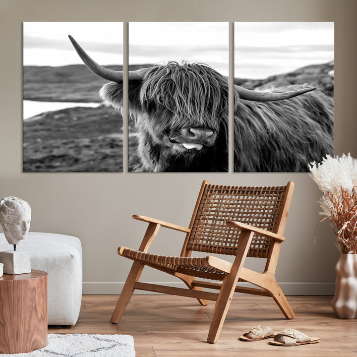 Scottish Highland Cow Cattle Art Print Farmhouse Wall Art Canvas Print