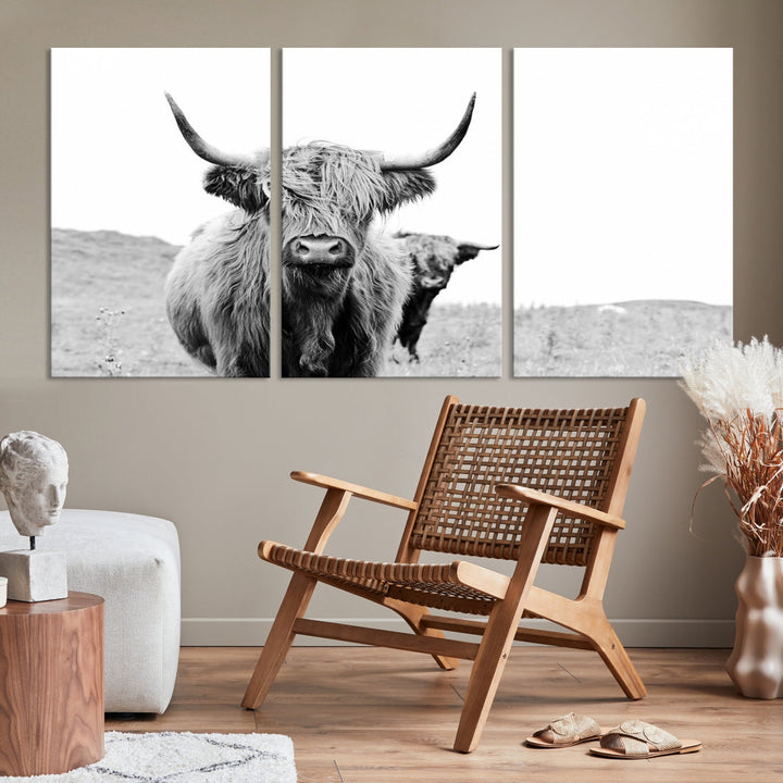 Beautiful Highland Cow Canvas Wall Art