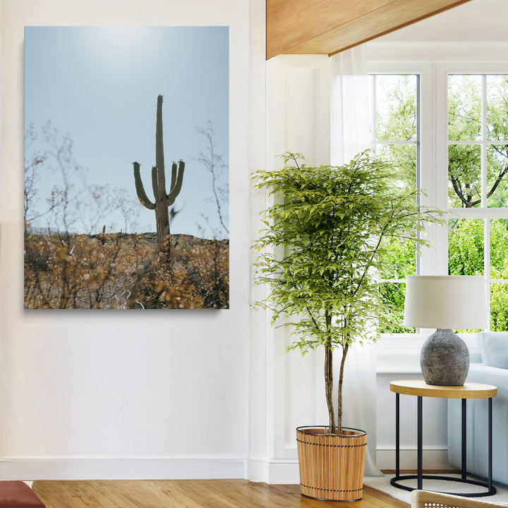 Saguaro Cactus Wall Art Canvas Print