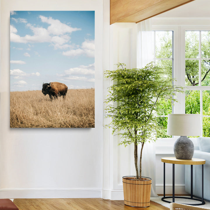 Bison Photography Wall Art Canvas Print: Framed Western Landscape Art