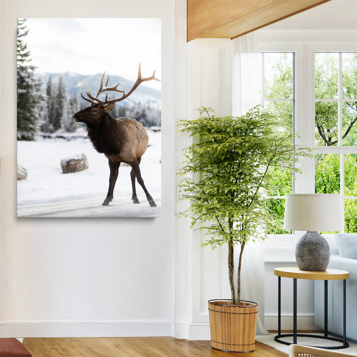 Elk Photography Wall Art Canvas Print, Framed Winter Wildlife Art Picture Print, Snowy Mountains Perfect Rustic Cabin Decor Decor Artwork