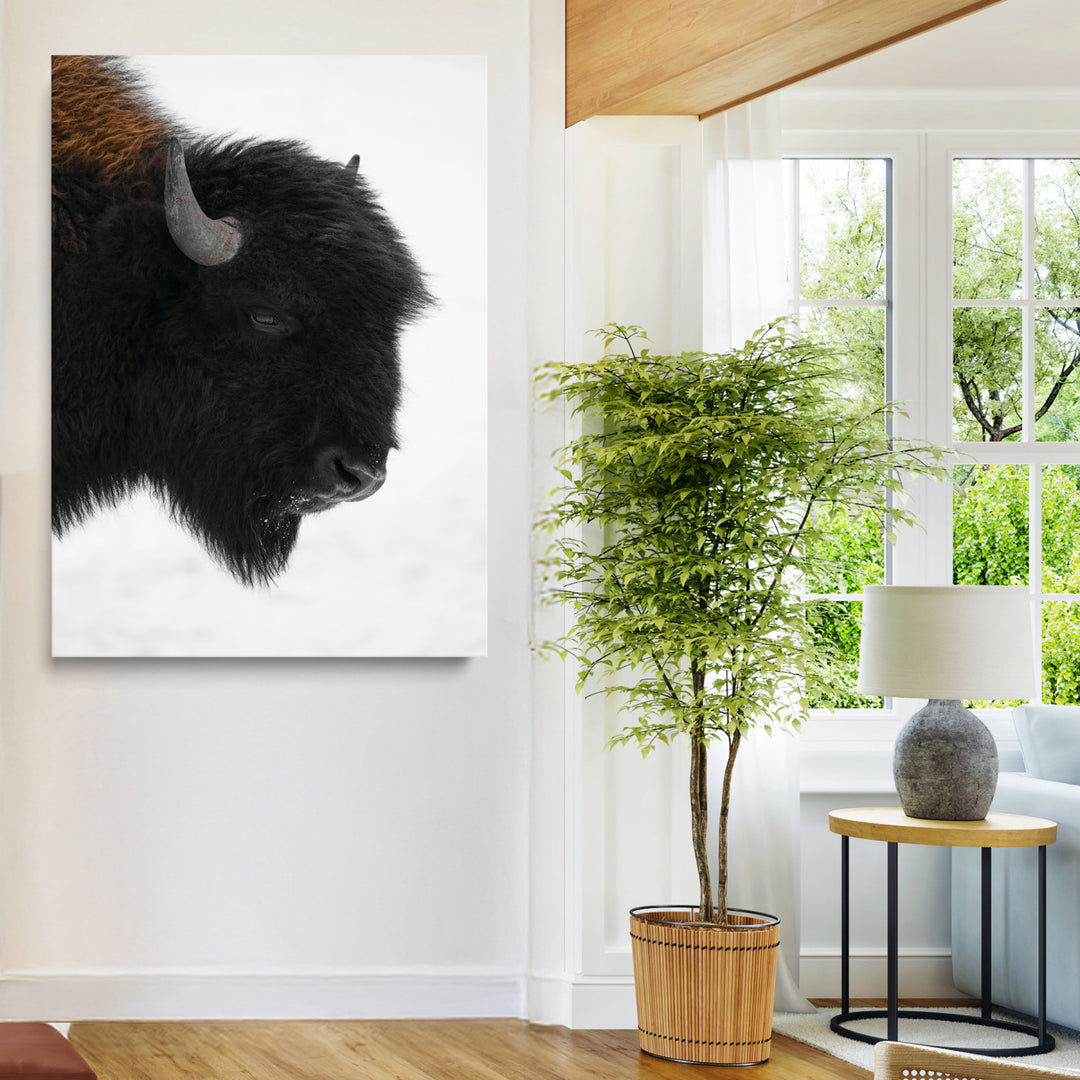 Western Rustic Wall Art Canvas Print, Framed Buffalo Photography Art Picture Print, Black and White Wildlife Perfect Modern Ranch Decor