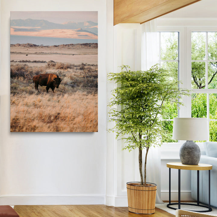 Solitary Buffalo Wall Art Canvas Print, Framed Golden Prairie Art Picture Print, Earthy Tones Perfect Rustic Western Decor Artwork