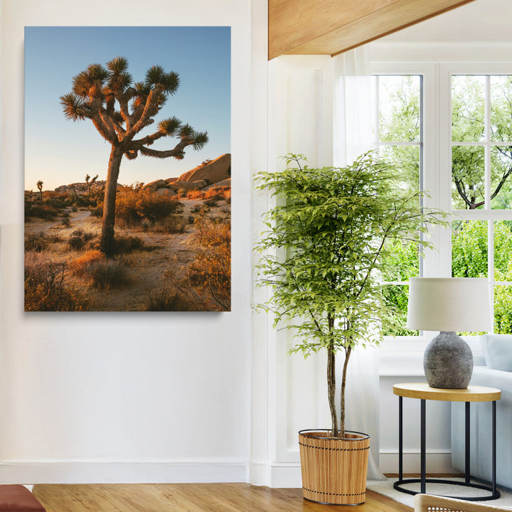 Joshua Tree Artwork Canvas Print, Desert Sunset Print, Framed Golden Hour Light Art Print, Large Southwestern Landscape Printing, Framed