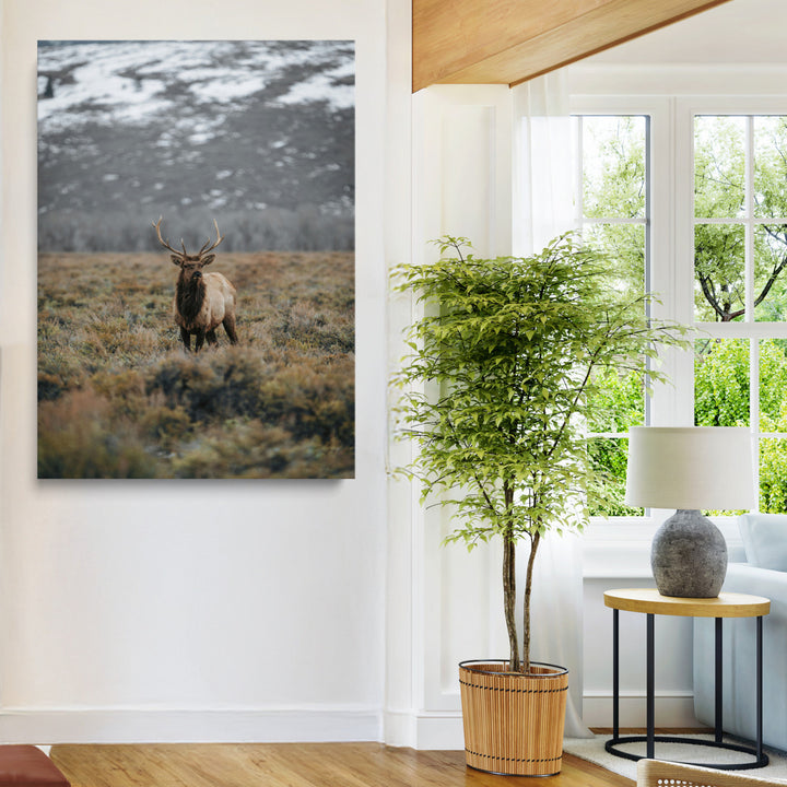 Wild Elk Wall Art Canvas Print, Mountain Wilderness Print, Framed Majestic Animal Art Print, Large Rustic Wildlife Wall Art Printing