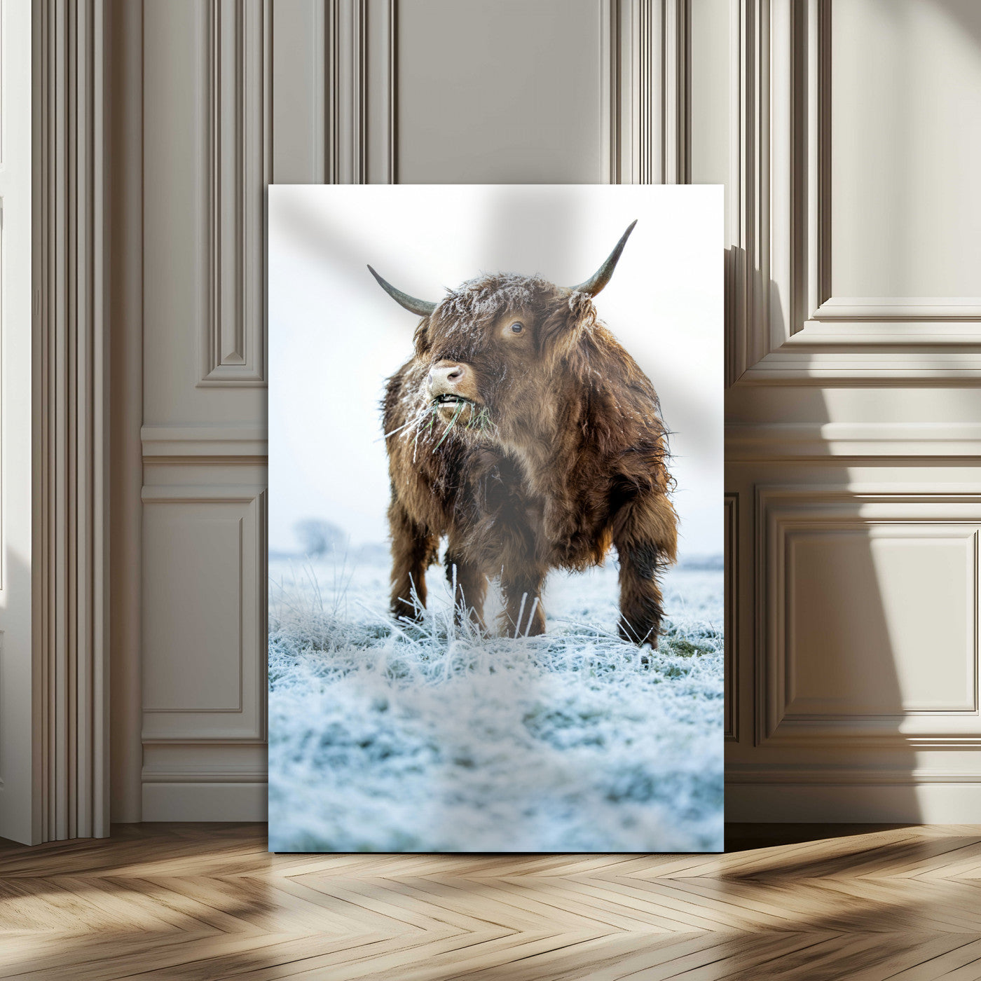 MGV-CV-24X36 - Minimalist Scottish Highlang Cow Wall Art Canvas Print for Farmhouse / County Style Art Print for